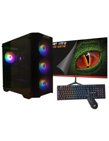 AMD Ryzen 5 4650G16GB1 Tb NVMeMonitor 21.5 teclado y rat?n Windows 11 Ordenador GamingPC