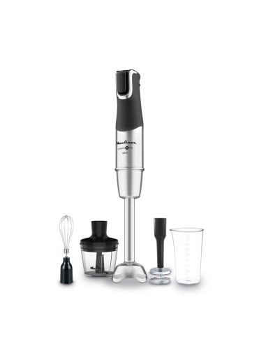 Batidora Varilla Moulinex DD95HD10 1200w Metal