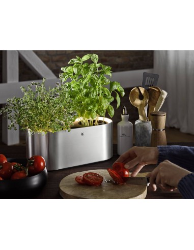 Macetero WMF AMBIENT HERBS 0419010011 350x142x16