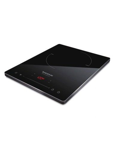 Induccion Portail Taurus 974670 Dartfire double