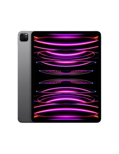 iPad Pro 5G Apple M TD-LTE  FDD-LTE 1 TB 328 cm (12.9) 16 GB Wi-Fi 6E (802.11ax) iPadOS 16 Gris